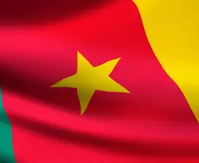 le drapeau du Cameroun